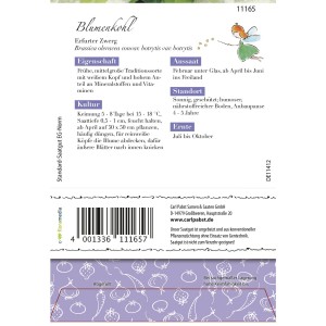 Samentüte Grüne Fee Blumenkohl Erfurt, samenfest für ca. 80 Pflanzen.