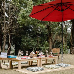 Roter Sonnenschirm über Picknicktisch mit Kissen im Grünen. Ideal für Garten und Strand mit einem Rasendorn.