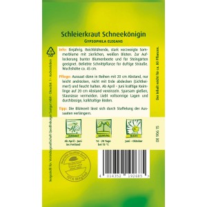 Samenpackung Quedlinburger Schleierkraut 'Schneekönigin', einjährige Sommerblume für Blumenbeete.