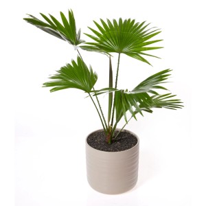 Seramis Topper Dark Shadow, 1 l, zur dekorativen Abdeckung von Pflanzgefäßen mit dunkler Naturfarbe.