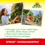 Neudorff Spruzit Schädlings-Spray 400ml: Anwendungsbeispiele im Garten und Ernte von Gemüse.