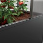 Biohort Gewächshaus Florentina Maxi, dunkelgrau-metallic, mit Tomatenpflanzen.