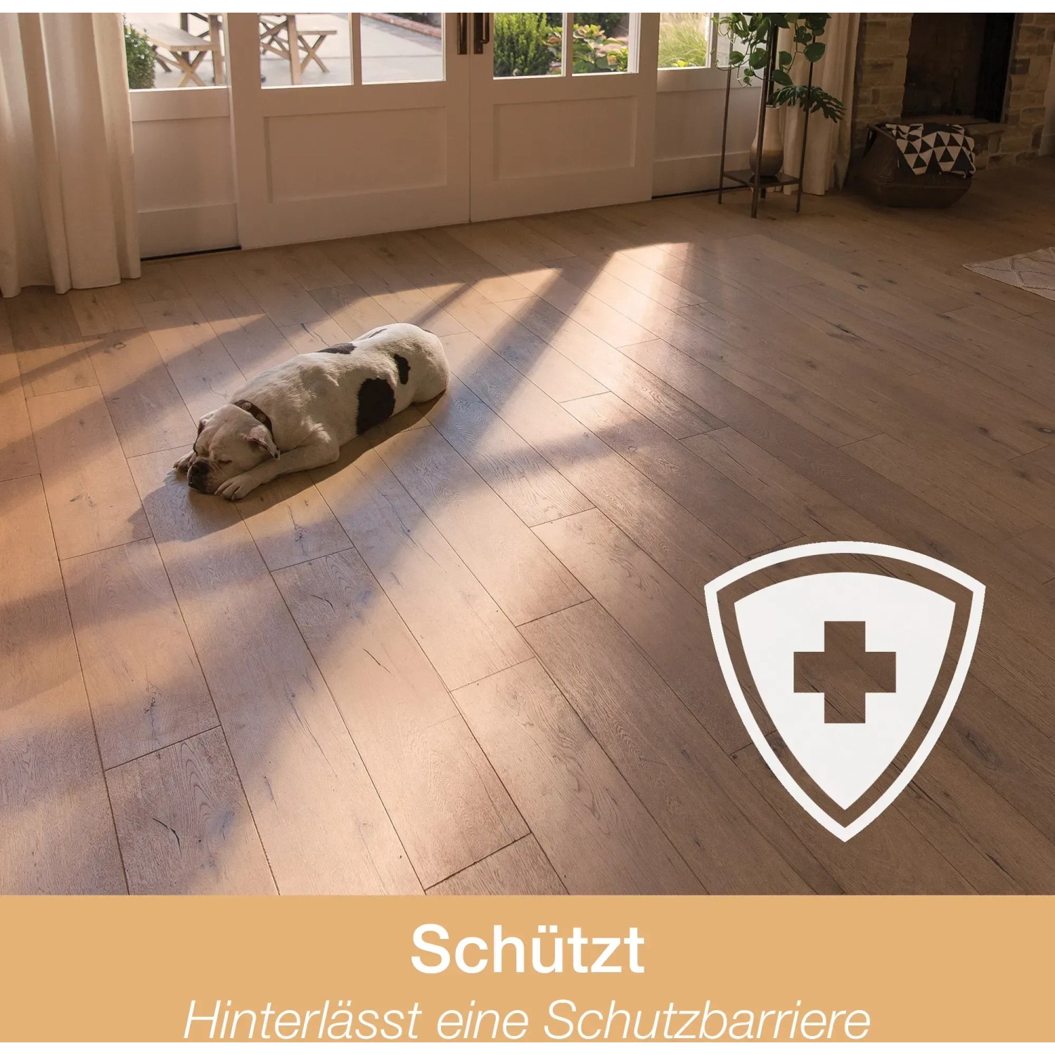 Geölter Holzboden, geschützt durch Bona Reiniger, mit schlafendem Hund im sonnigen Raum.
