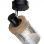 Schwarze Just Light Wand- und Deckenleuchte Pasqual mit Rauchglas-Schirm und Holzdetails.