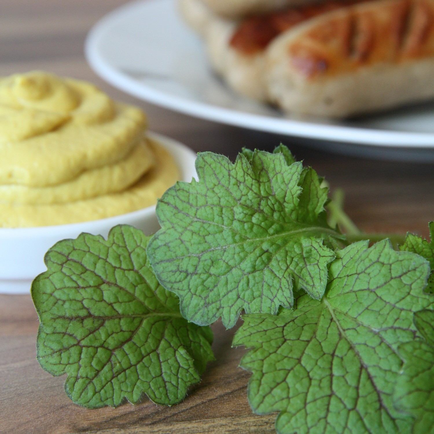 Frischer Blu Bio-Blattsenf (Brassica juncea) mit Senf und Würstchen im Hintergrund.