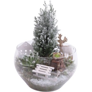 Winterliches Pflanzen-Arrangement im Glasgefäß Topf-Ø ca. 25 cm