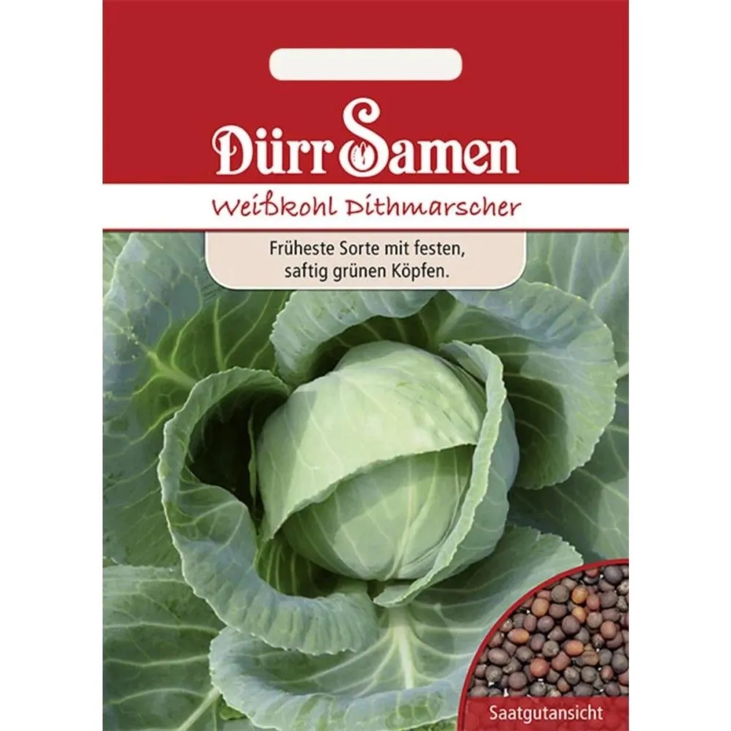 Dürr Samen Weißkohl Dithmarscher Saatgut