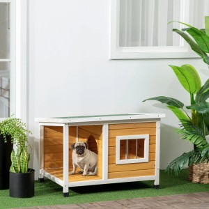 PawHut Hundehütte aus hellem Tannenholz mit Veranda und Fenster, erhöht. Ein Hund sitzt im Eingang. Für Outdoor.