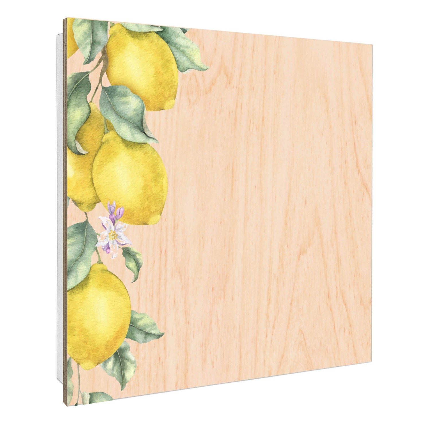 Banjado Großer Schlüsselbox Holz 30x30cm Weiß Scharnier Rechts 50 Haken Sch günstig online kaufen
