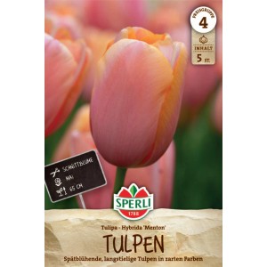 Sperli Blumenzwiebel Einfache Späte Tulpe Menton, lachsrosa-orange Blüte.