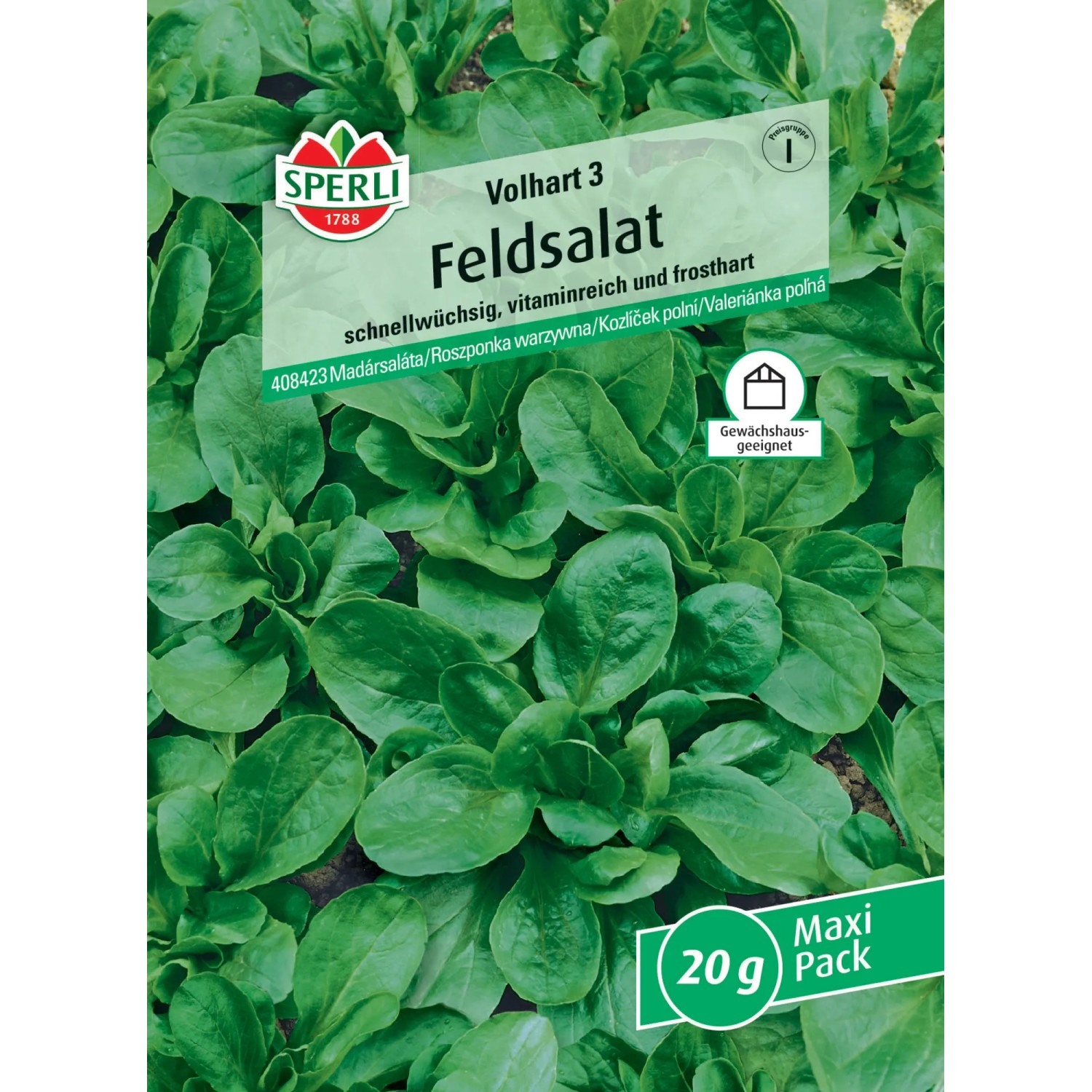 Sperli Saatgut Feldsalat Volhart 3, MaxiPack 20g