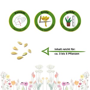 Infografik zu Aussaat, Ernte und Größe der Horngurke Kiwano; Gemüsesamen für ca. 5 Pflanzen.