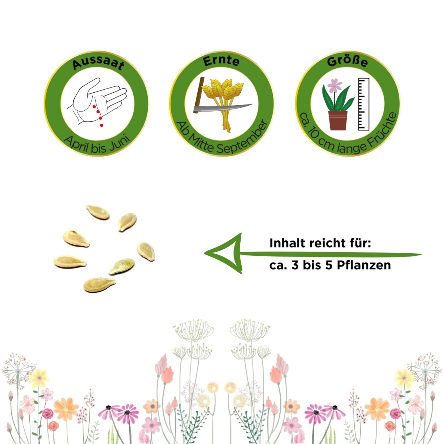 Infografik zu Aussaat, Ernte und Größe der Horngurke Kiwano; Gemüsesamen für ca. 5 Pflanzen.