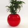 Roter, runder Elegant Einrichten Pflanzkübel Fiberglas Ball (D40xH32cm) mit Pflanze.