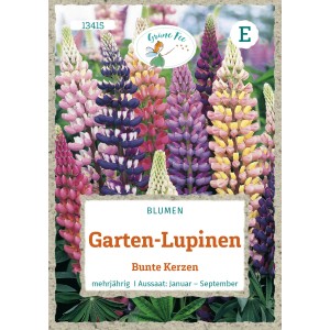 Samenpackung Garten-Lupinen 'Bunte Kerzen' mit farbenfrohen Blütenständen.