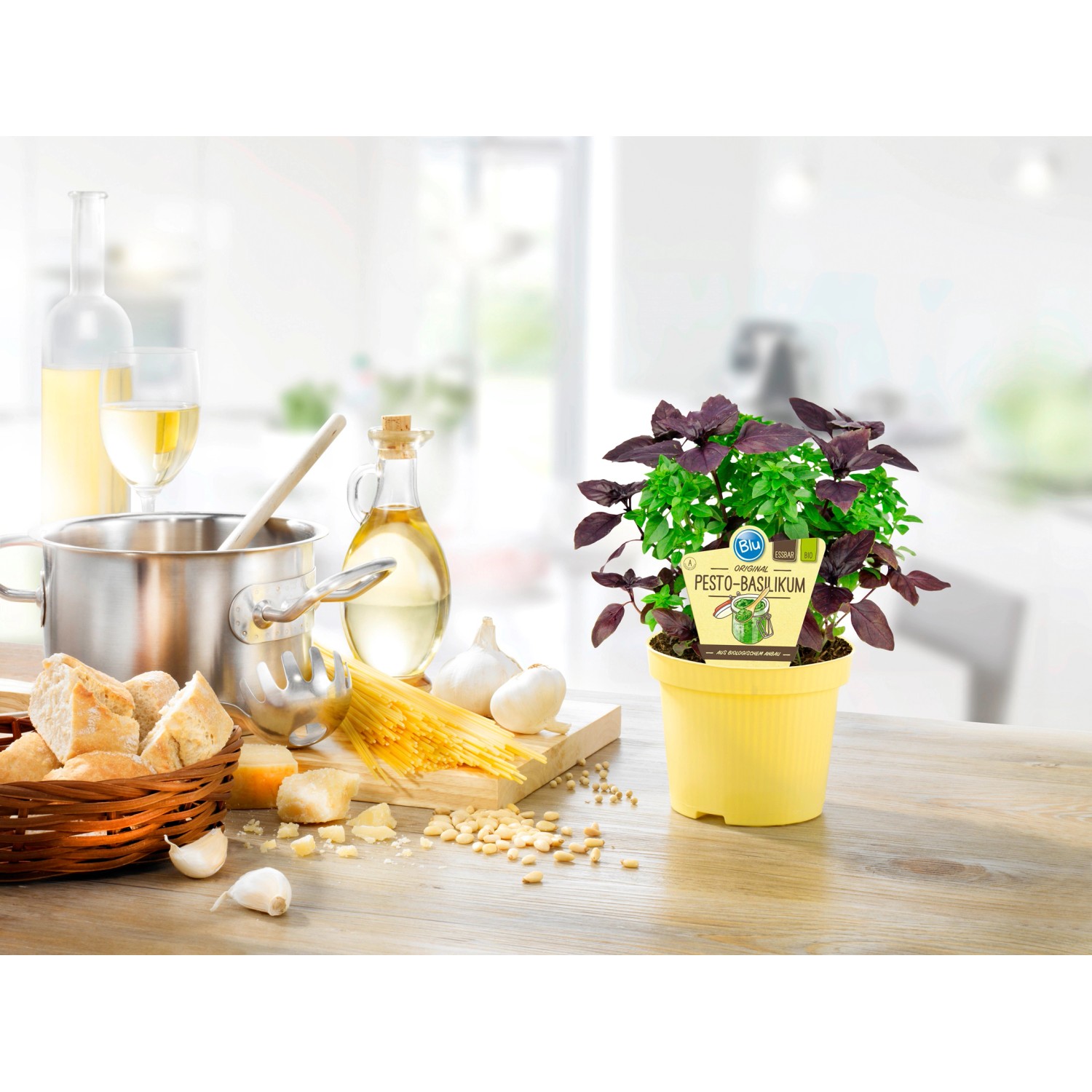 Blu Bio-Pesto Basilikum im gelben Topf, ideal für mediterrane Gerichte.