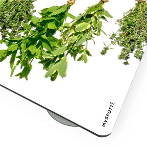 Myspotti Mini-Spritzschutzplatte Kräuterleine, Küchenrückwand mit Kräutermotiv.