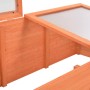 vidaXL Frühbeet aus hellem Holz mit transparenten PC-Platten. Rechteckiges Gewächshaus mit aufklappbarem Deckel.