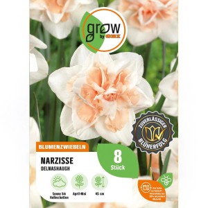 GROW by OBI Narzisse Delnashaugh, weiß-lachsfarbene Blüten, 8 Stück Blumenzwiebeln.
