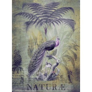 Fototapete Dschungel mit Pfau, Palme, lila und grauen Elementen, 2,00x2,70m