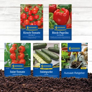 Gemüsesamen-Set mit Tomaten, Gurken, Paprika und Aussaat-Ratgeber von Kiepenkerl.