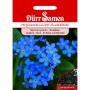 Dürr Samen Vergissmeinnicht dunkelblau Saatgutpackung mit blauen Blüten und Samenansicht. Einjährige Blumensamen.