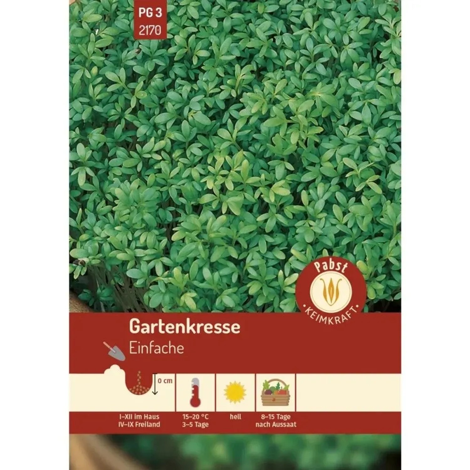 Pabst Keimkraft Gartenkresse Einfache Saatgut
