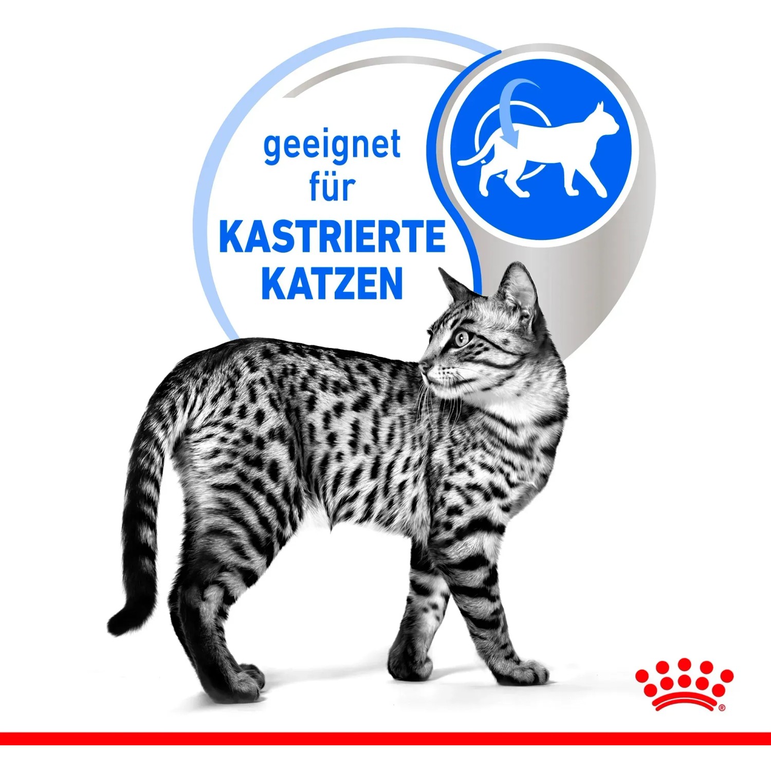Royal Canin Nassfutter für kastrierte Wohnungskatzen, 85g Portionsbeutel.