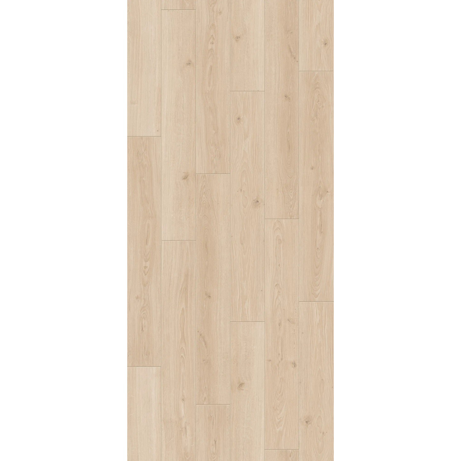 Helle Holzoptik: Parador Classic 1050 Laminat, wasserfest, 8 mm stark. Ideal für Wohn- und Gewerberäume.