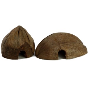 Kokoshöhle für Terrarium: Zwei halbe Kokosnüsse als Versteck für Schlangen, Insekten und Nager.