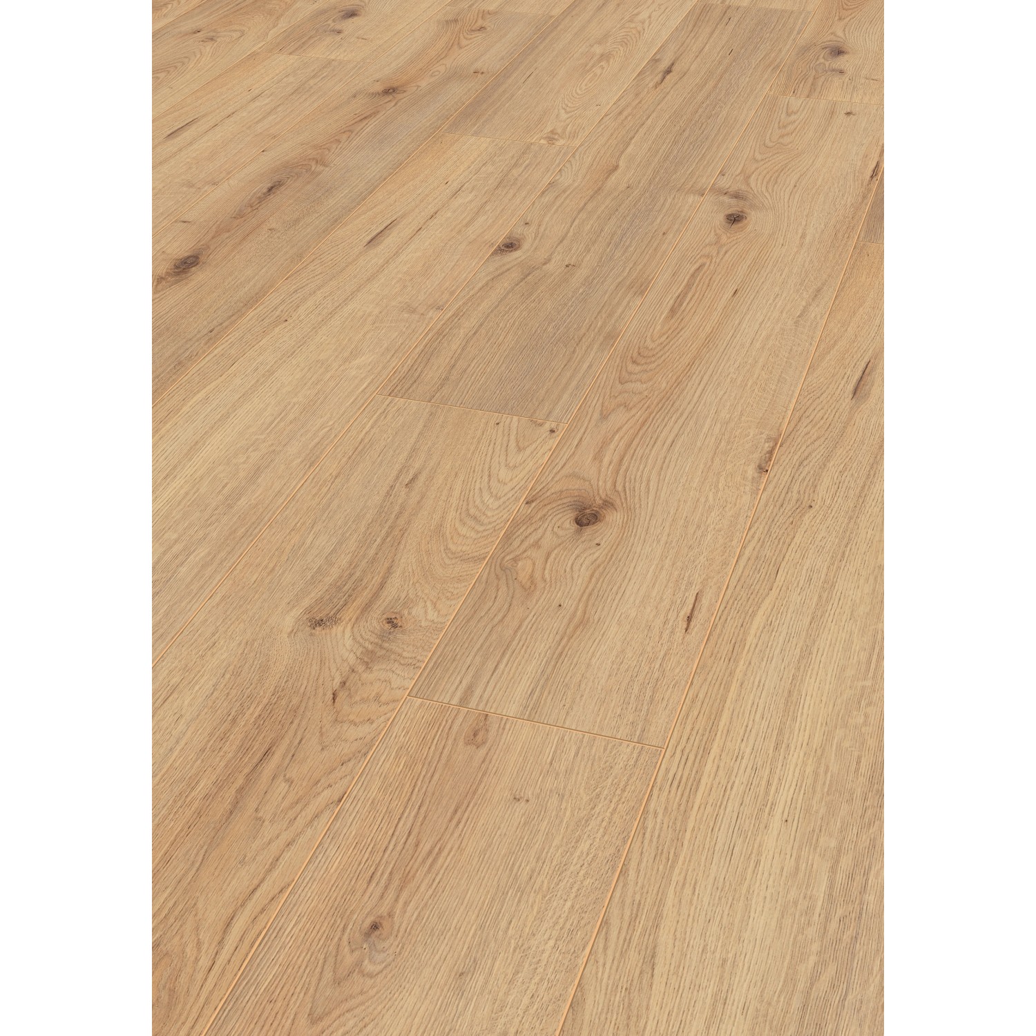 Jangal Laminatboden Oak National Park Line Pro Bright günstig online kaufen