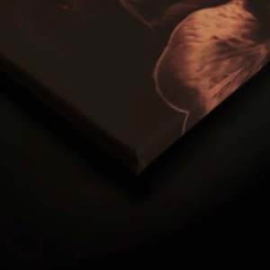 Leinwandbild mit Rosen und Orchidee auf schwarzem Hintergrund. Wanddeko für Wohnzimmer.