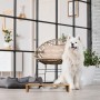 Relaxdays Futterstation für Hunde Bambus Natur Weiß Erhöht Rutschfest 9,5 cm x 46,5 cm x 17 cm 1,3 kg_5