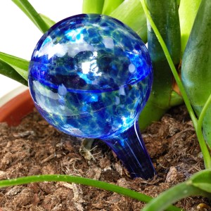 Blaue Glas-Bewässerungskugel mit gemusterten Sprenkeln im Blumentopf. Ideal zur Bewässerung von Topfpflanzen.