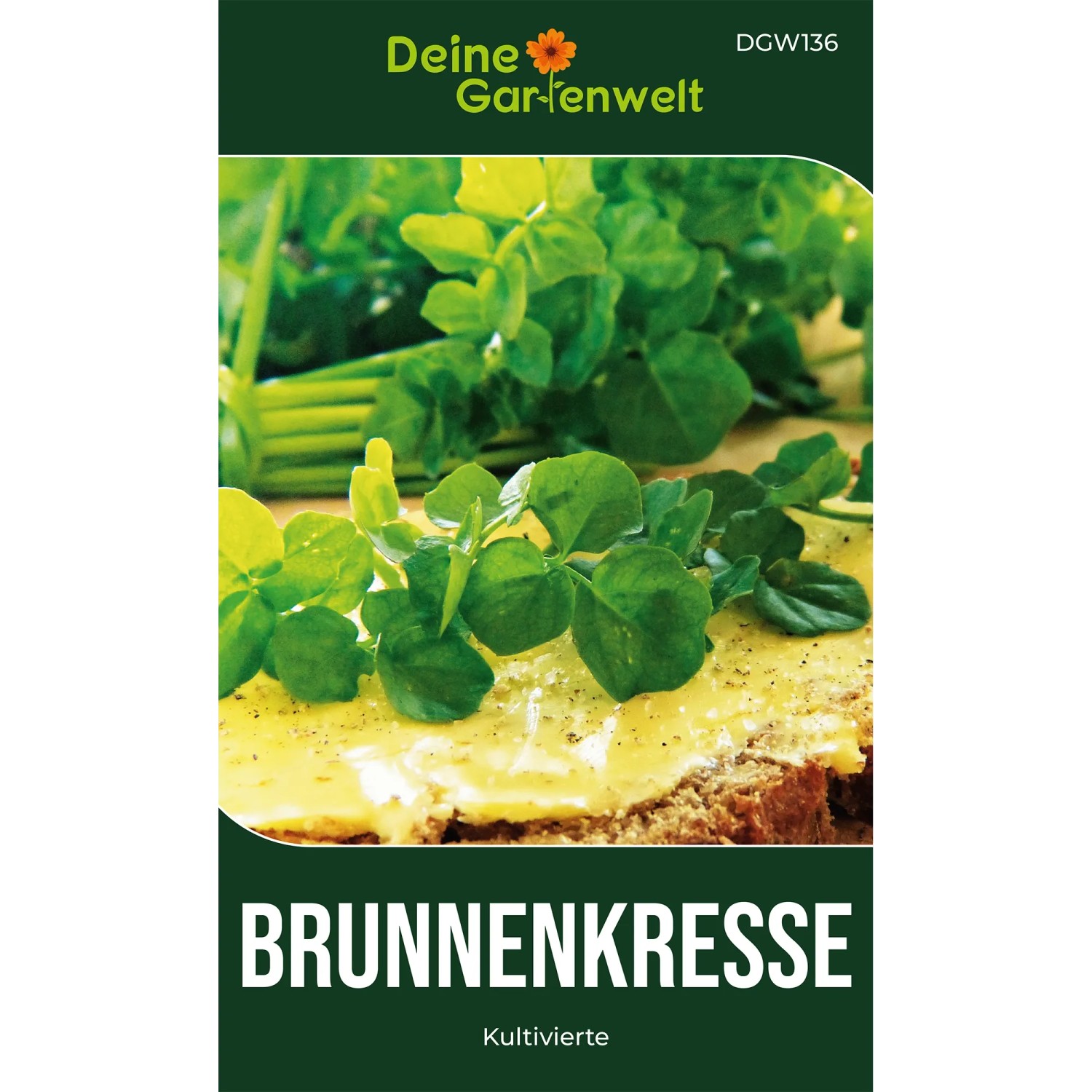 Deine Gartenwelt Brunnenkresse Kultivierte Samen