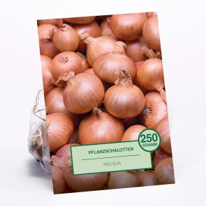 Pflanzschalotten Red Sun, 250g, im Beutel. Ideal zum Anpflanzen im Garten.