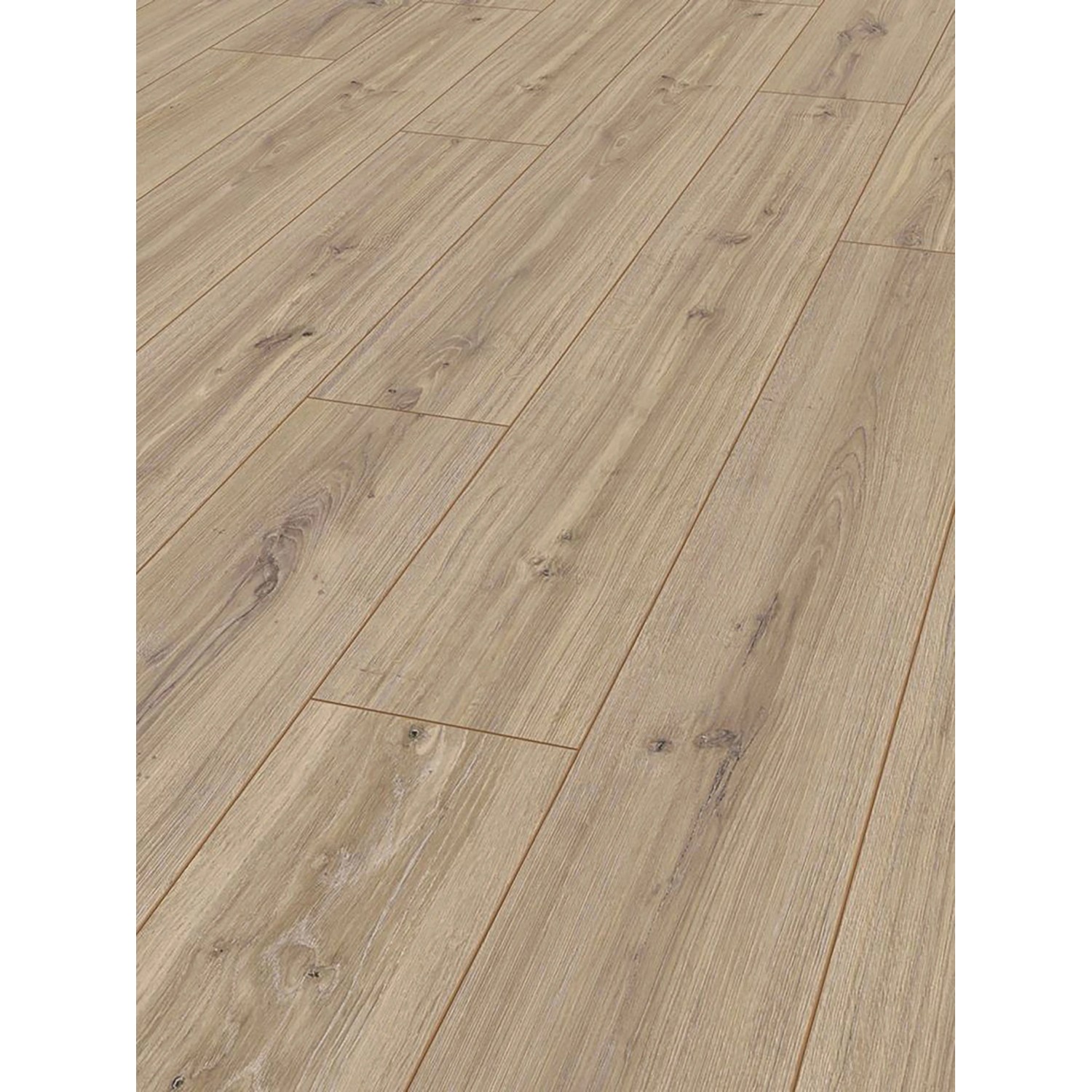 Jangal Laminatboden Oak State Park Line Plus Tula günstig online kaufen