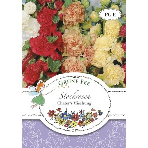 Grüne Fee Stockrosen Chater's Mischung Saatgut mit roten, gelben und weißen Blüten.