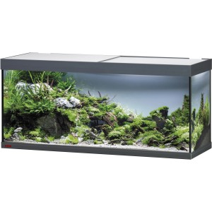Eheim VivalineLED 240 Anthrazit Aquarium-Komplettset mit Pflanzen und Deko.