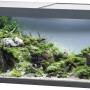 Eheim VivalineLED 240 Anthrazit Aquarium-Komplettset mit Pflanzen und Deko.