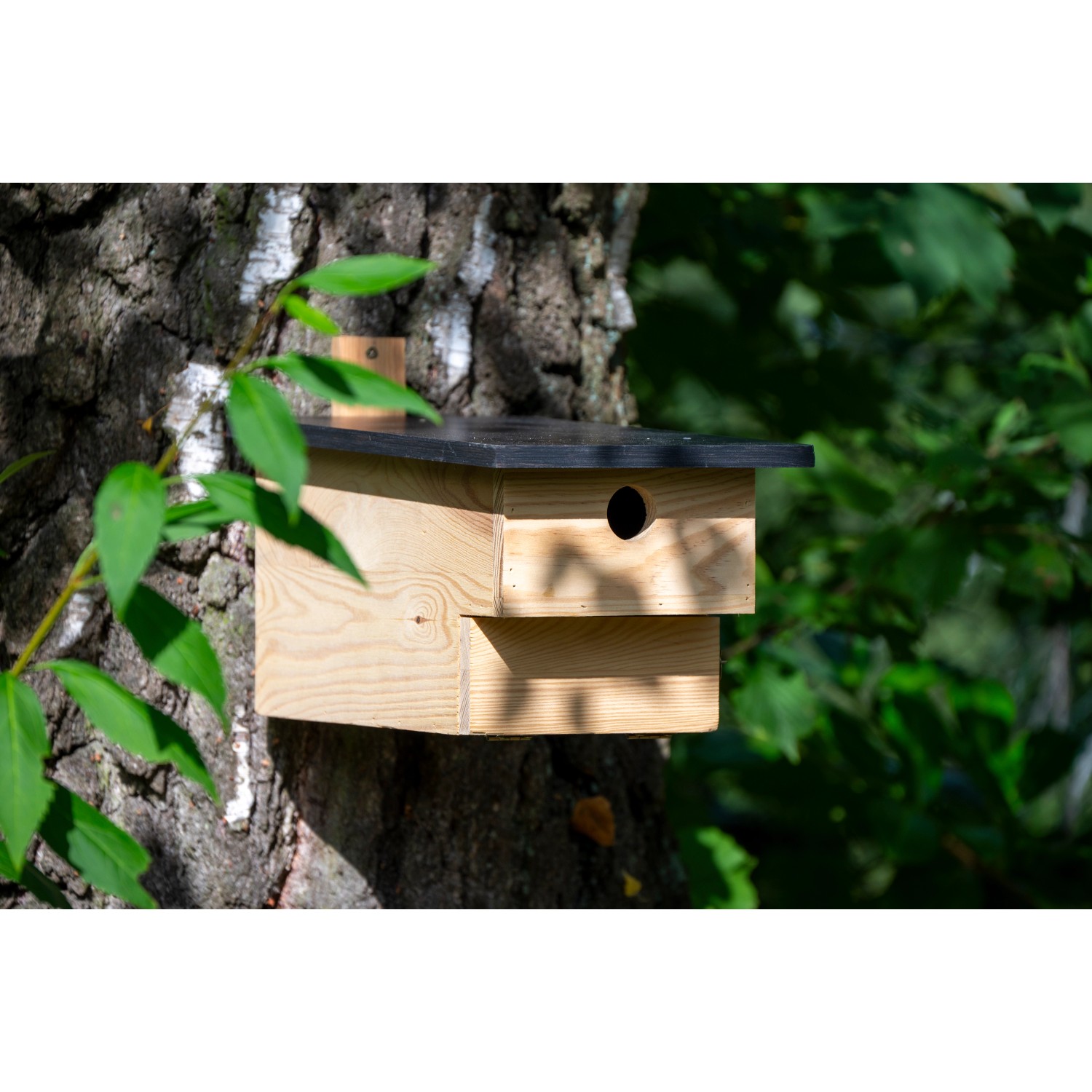 Holz Nistkasten für Höhlenbrüter am Baum befestigt.