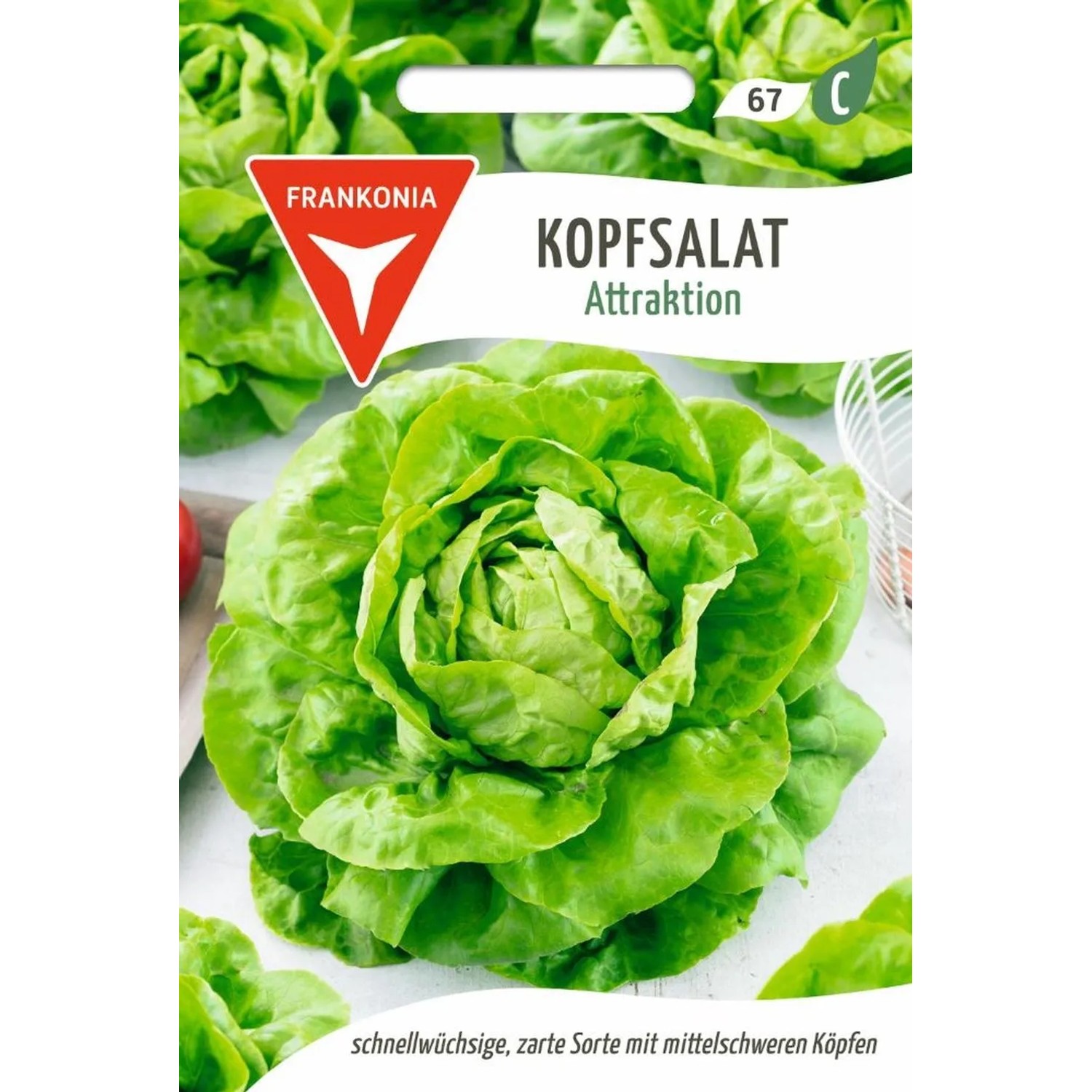 FRANKONIA Kopfsalat Attraktion Kleinpackung