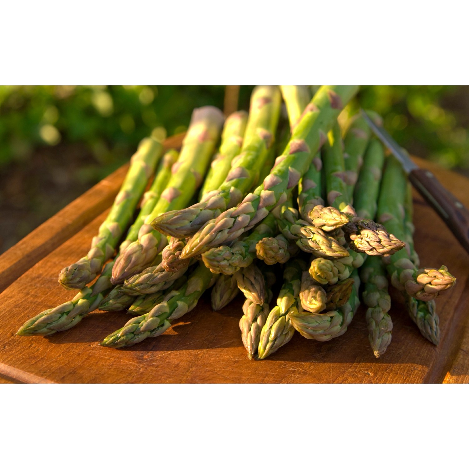GROW by OBI Küchen Garten Spargel "Boonlim" Grün kaufen bei OBI