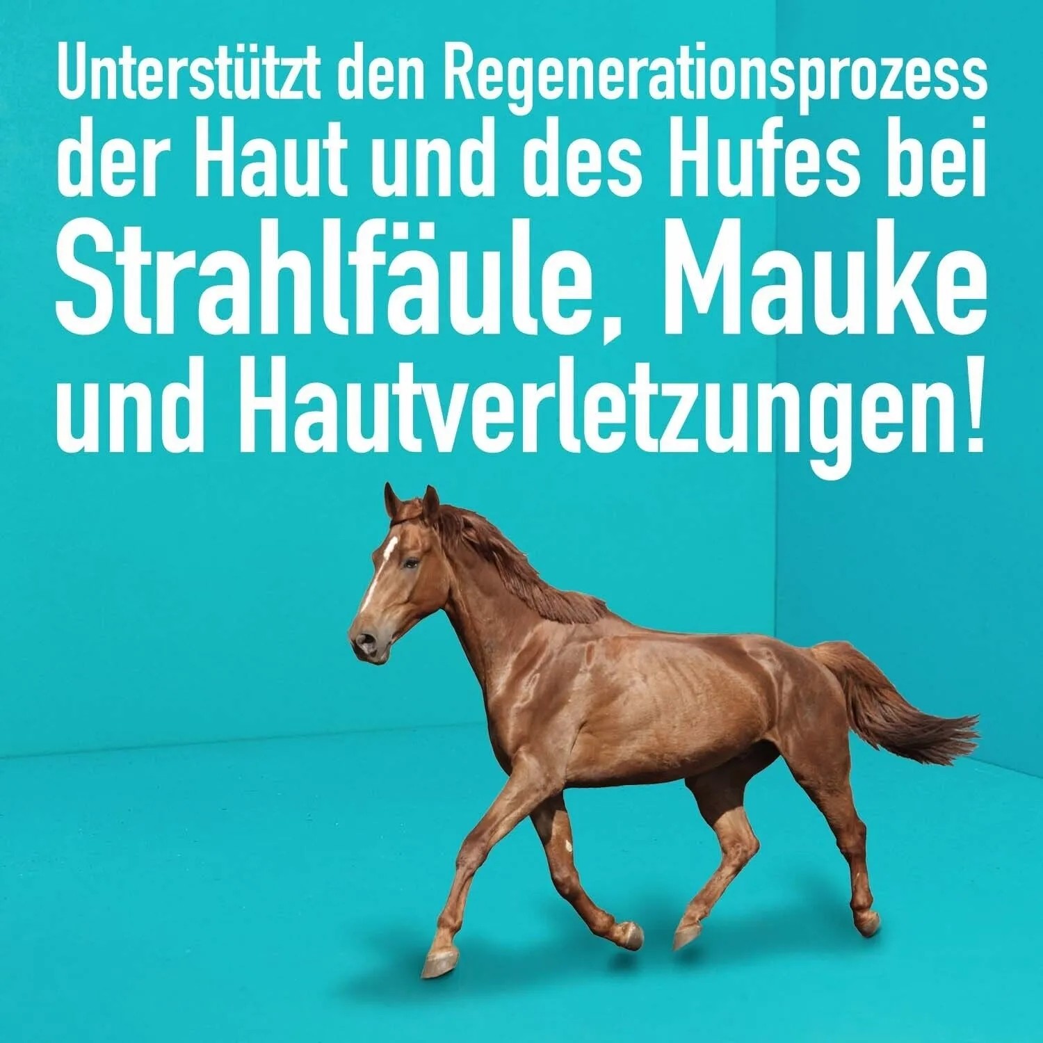 GreenHero Hufpflege für Pferde Pflegt bei Strahlfäule und Mauke  