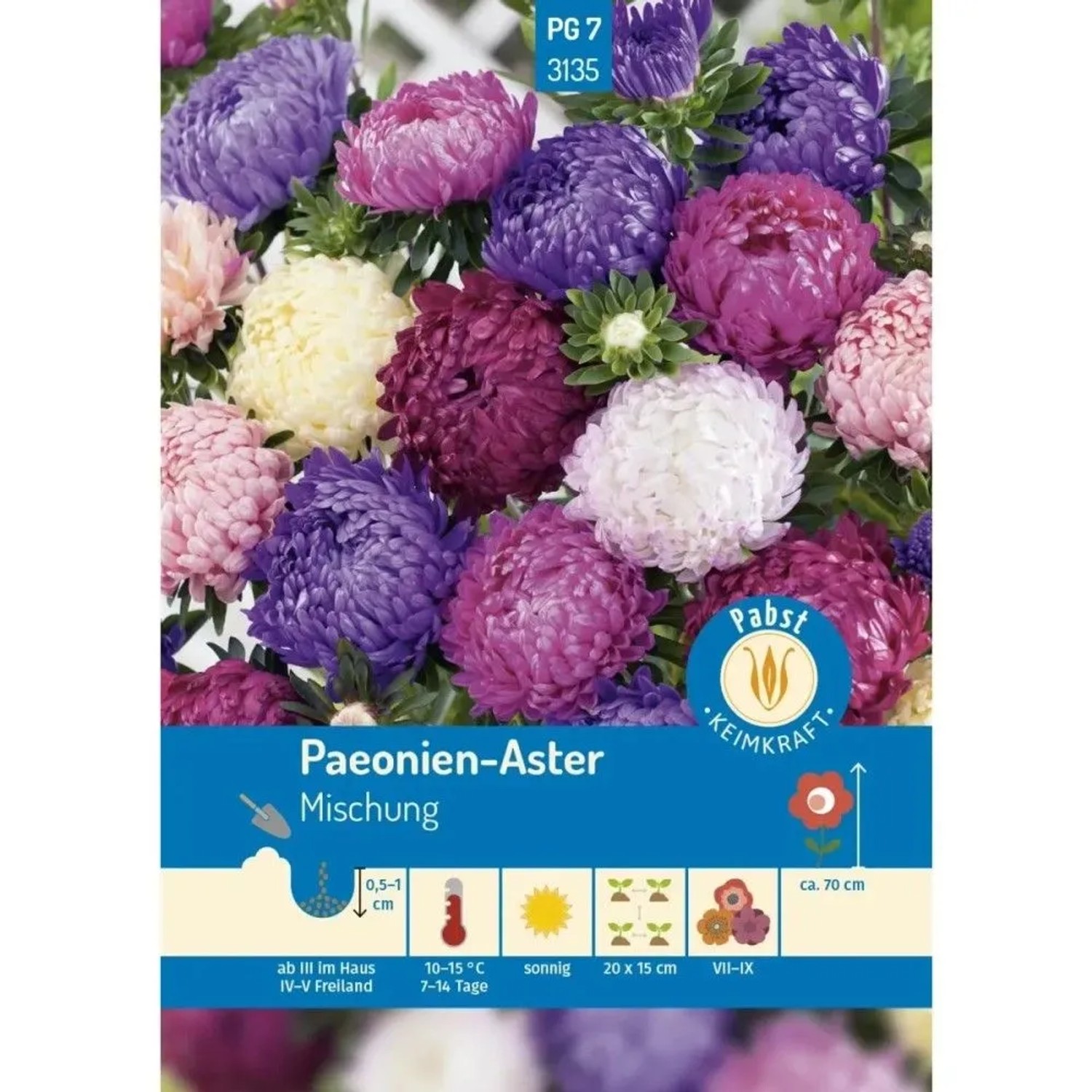 Pabst Keimkraft Paeonien Aster Mischung Saatgut