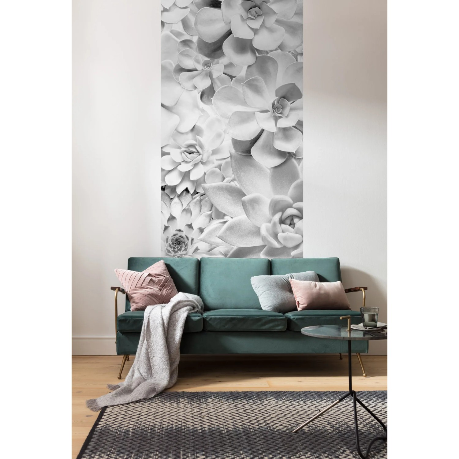 Komar Vlies Fototapete Shades Black and White, 100x250 cm, mit Sukkulenten-Motiv.