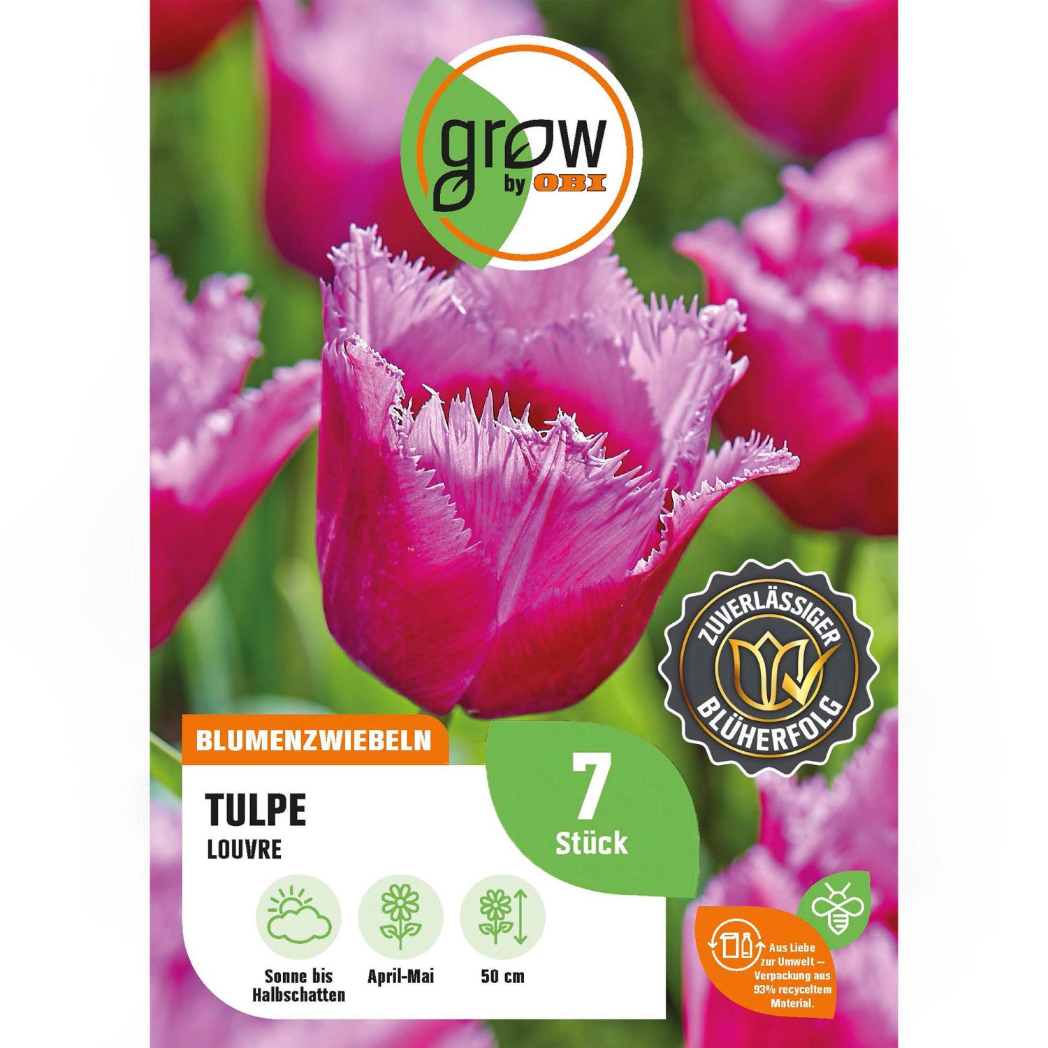 GROW by OBI Tulpe Louvre Lila 7 Stück Tulipa fringed Louvre günstig online kaufen