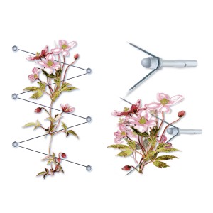 Floracord Rankhilfe aus Edelstahl mit Kletterpflanzen und Seilspanntechnik.