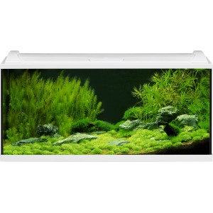 Eheim Aquarium-Set Aquapro LED 180 Weiß, bepflanztes Süßwasseraquarium mit Zubehör.