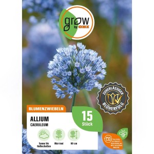 Verpackung GROW by OBI Zierlauch Blau, Allium caeruleum, Blumenzwiebeln für den Garten.